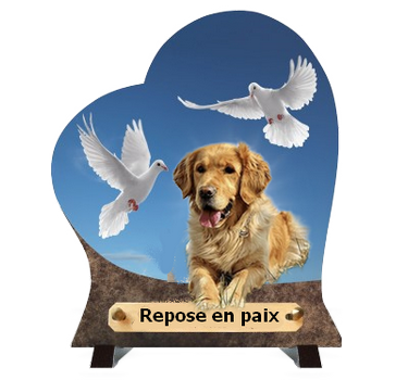 1 a 1 plaque chien