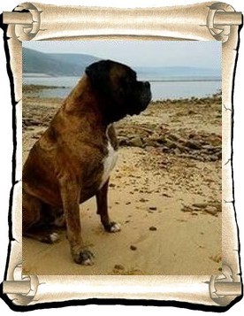 Attila 1