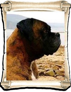 Attila 2