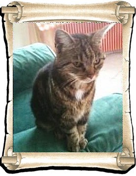 Betty 1