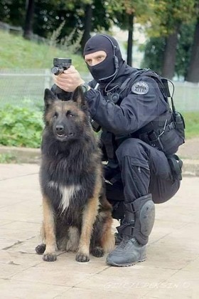 Chien police 21