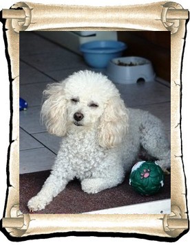 Choupette 3