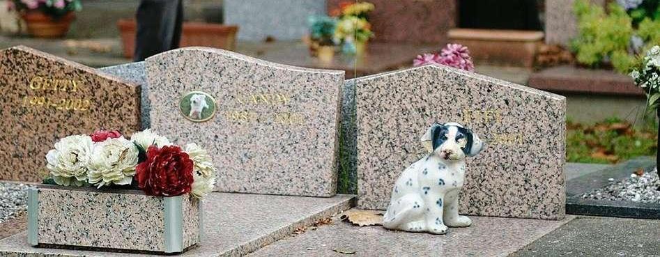 Cimetiere animalier