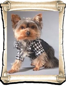 Ernest 1
