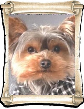 Ernest 2