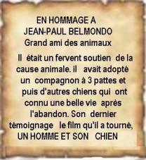 J p belmondo jpg