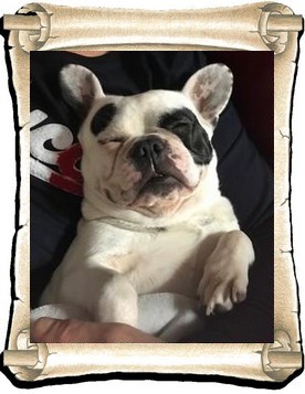 Jessie 3