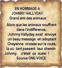 Johnny hallyday