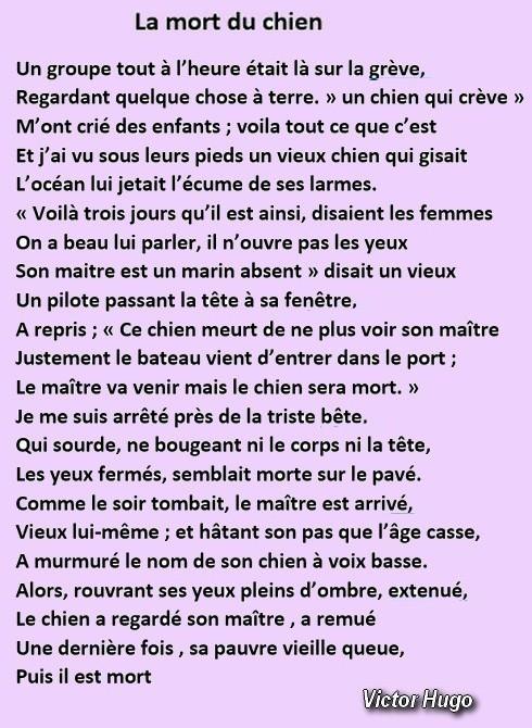 La mort du chien