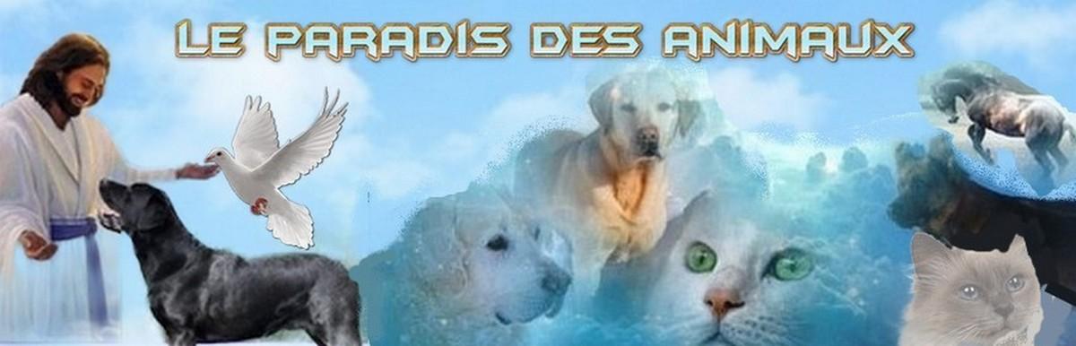 Le paradis des animaux 2