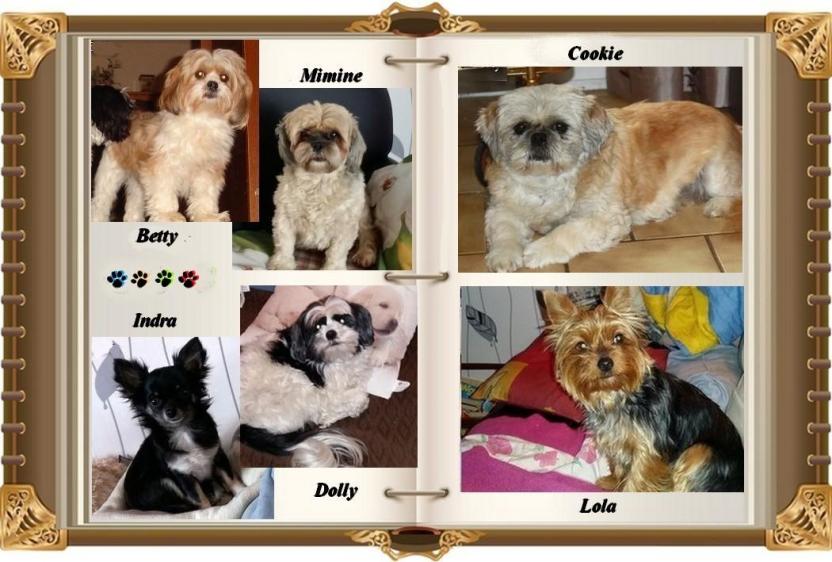 Mes filles 2