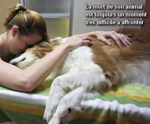 Mort de son animal 2