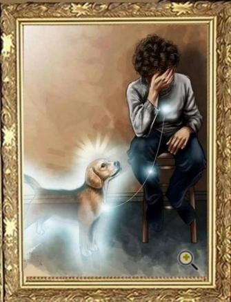 Pleurer son chien 1