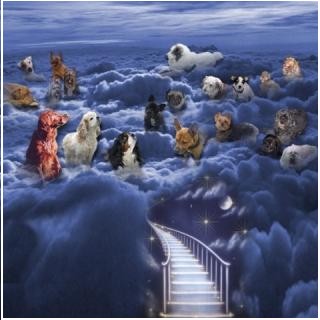 Pont ciel 1