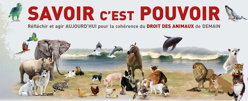 Savoir
