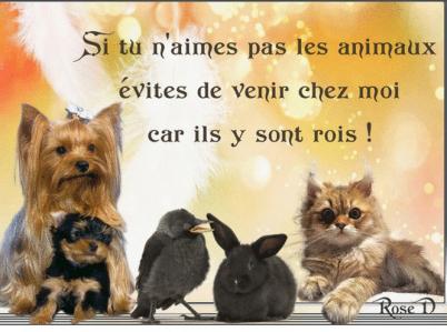 Si tu n aimes pas les animaux