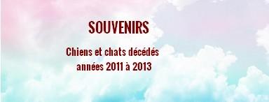 Souvenirs 2011 2014