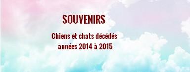 Souvenirs 2014 2015
