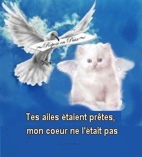 Tes ailes 2